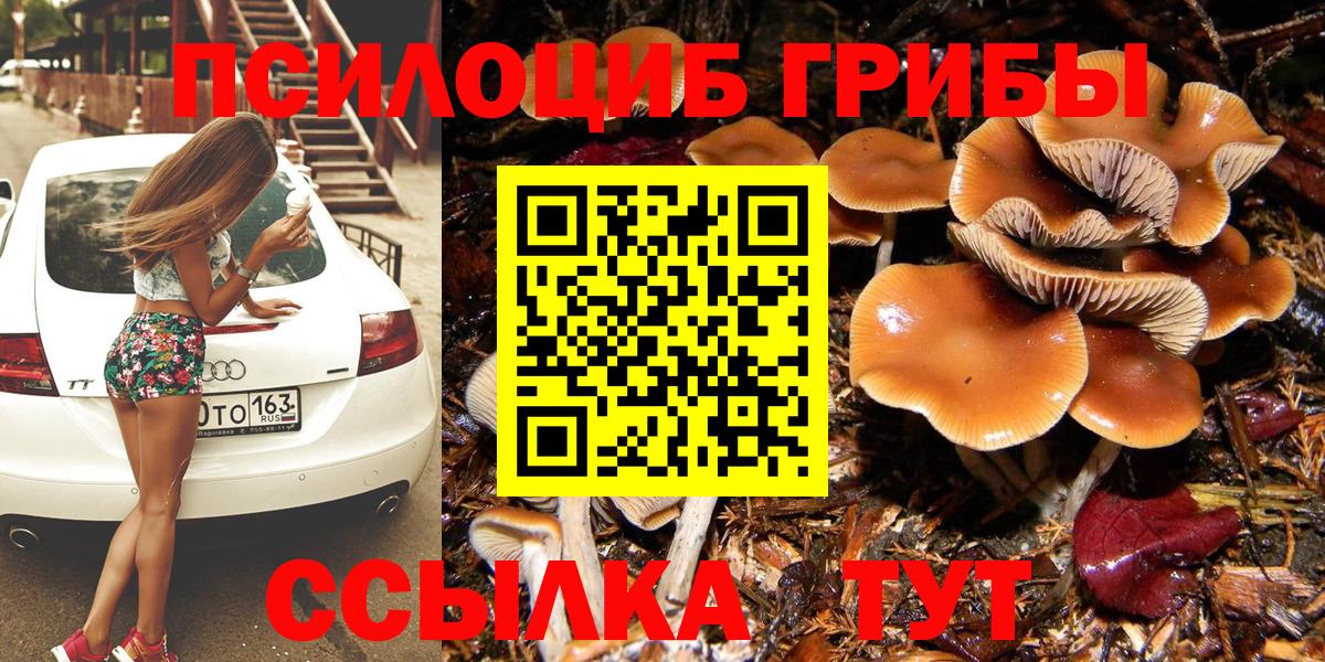 Галлюциногенные грибы ЛСД Луховицы